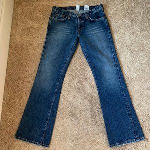 Lucky Brand Low Rise Bootcut Jeans (size 2/26)